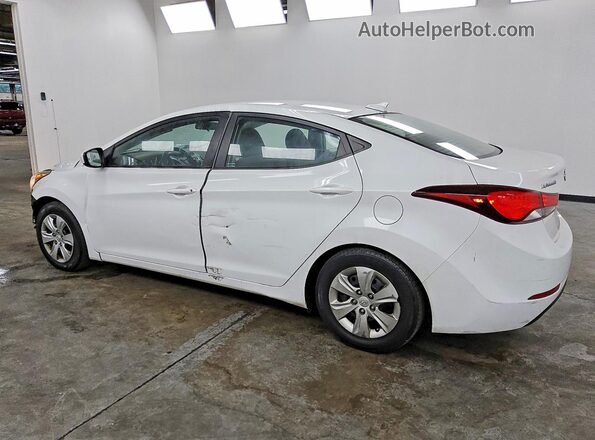 5NPDH4AE1GH728449 2016 HYUNDAI ELANTRA White Tył lewy