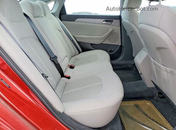 5NPE24AF0KH812575 2019 HYUNDAI SONATA Red Вид задніх сидінь