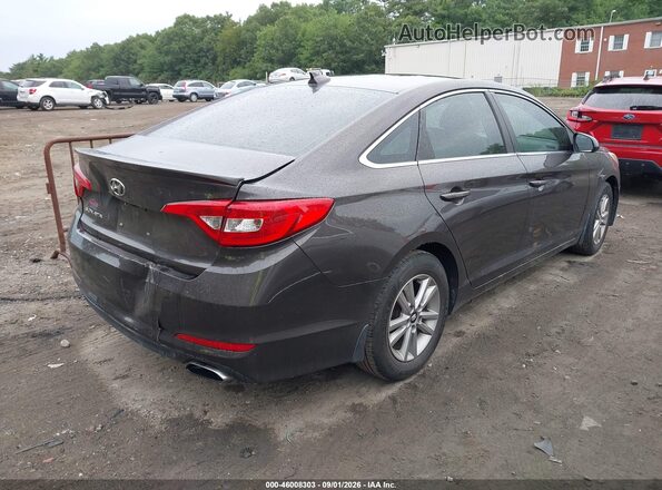 5NPE24AF1GH293558 2016 HYUNDAI SONATA Brown Tył prawy