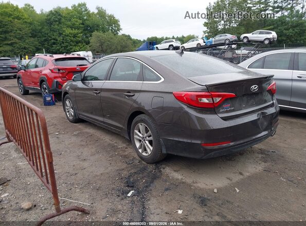 5NPE24AF1GH293558 2016 HYUNDAI SONATA Brown Tył lewy