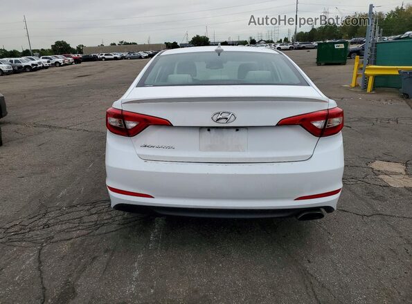 5NPE24AF1GH341446 2016 HYUNDAI SONATA White Widok z tyłu