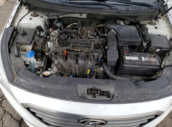 5NPE24AF1GH341446 2016 HYUNDAI SONATA White Widok wnętrza z tyłu