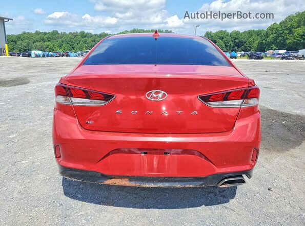 5NPE24AF1KH770935 2019 HYUNDAI SONATA Red Widok z tyłu