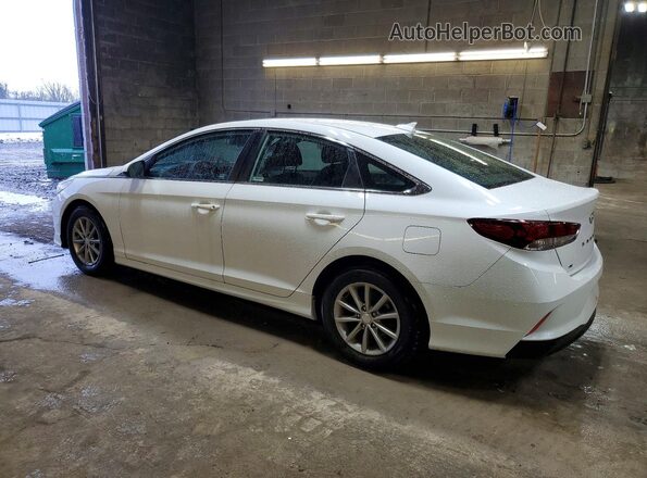 5NPE24AF1KH795589 2019 HYUNDAI SONATA White Tył lewy