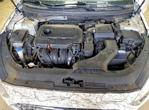 5NPE24AF1KH795589 2019 HYUNDAI SONATA White Widok wnętrza z tyłu
