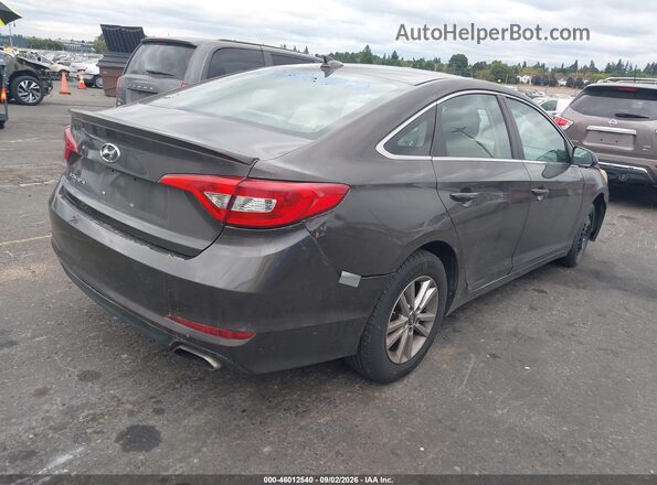 5NPE24AF2GH280396 2016 HYUNDAI SONATA Brown Задня права чверть