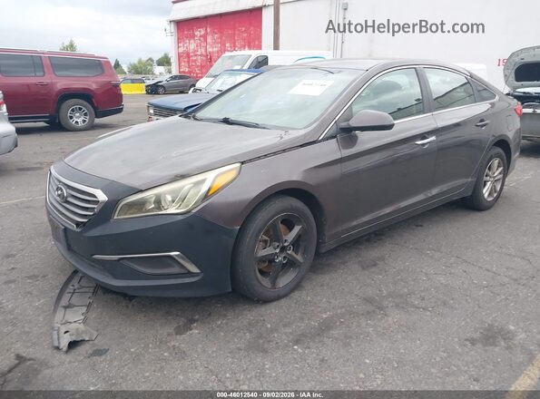 5NPE24AF2GH280396 2016 HYUNDAI SONATA Brown Передня ліва чверть