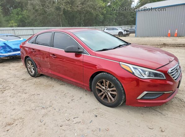5NPE24AF5GH385448 2016 HYUNDAI SONATA Maroon Delantero derecho