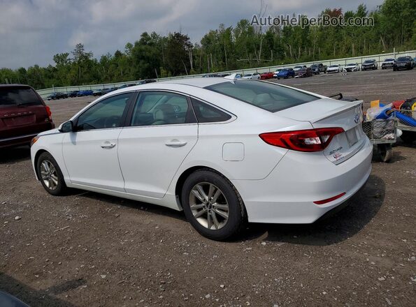 5NPE24AF8HH477364 2017 HYUNDAI SONATA White უკანა მარცხენა