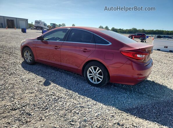 5NPE24AF8HH563239 2017 HYUNDAI SONATA Red Հետևի ձախ