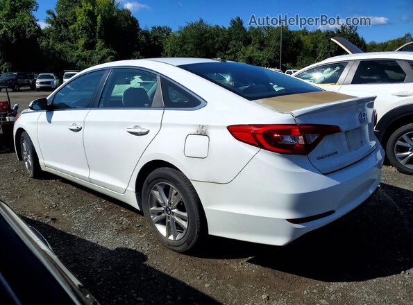 5NPE24AF9HH453719 2017 HYUNDAI SONATA White Rear left
