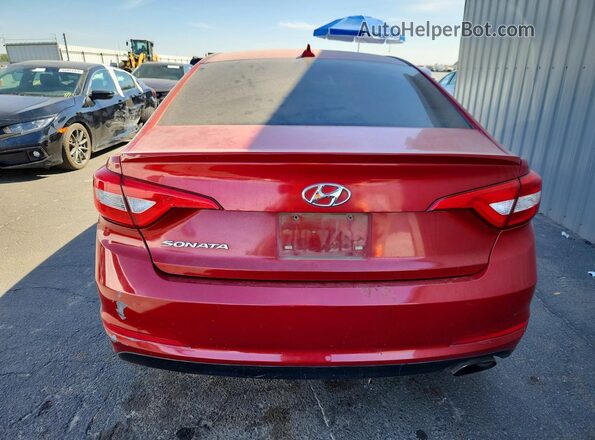 5NPE24AF9HH492097 2017 HYUNDAI SONATA Red Widok z tyłu
