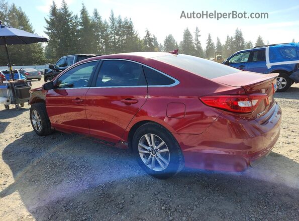 5NPE24AF9HH593057 2017 HYUNDAI SONATA Красный Задняя левая четверть