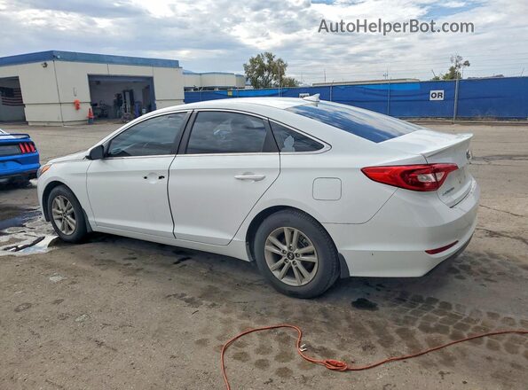 5NPE24AFXGH275558 2016 HYUNDAI SONATA White Задня ліва чверть