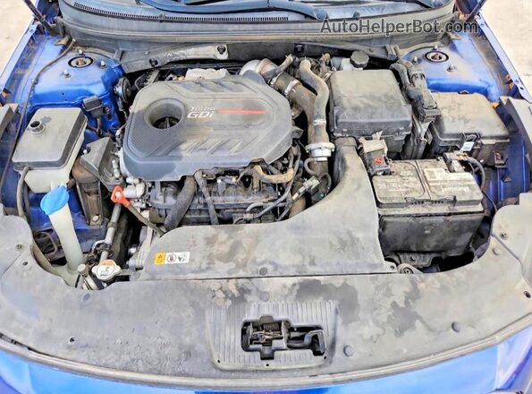 5NPE34AB8HH558178 2017 HYUNDAI SONATA Blue Widok wnętrza z tyłu