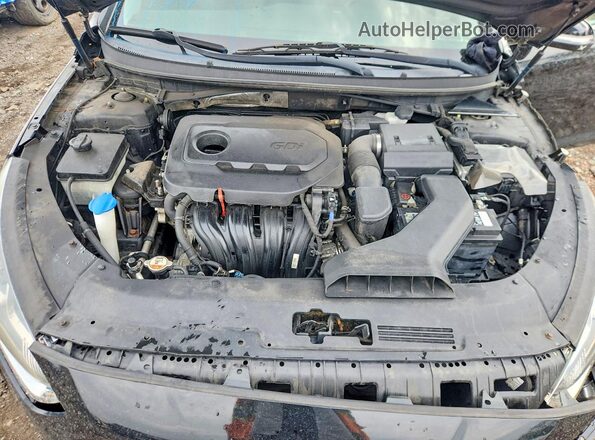 5NPE34AF0JH721995 2018 HYUNDAI SONATA Black Սալոնի հետևի տեսք