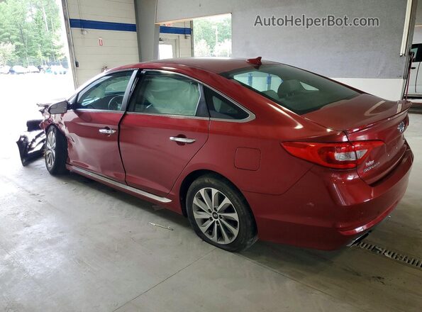 5NPE34AF1GH389221 2016 HYUNDAI SONATA Burgundy Задня ліва чверть