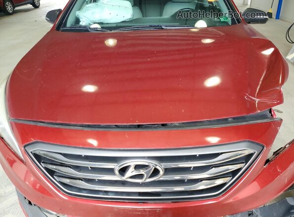 5NPE34AF1GH389221 2016 HYUNDAI SONATA Burgundy Вид задньої частини салону