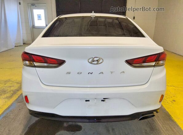 5NPE34AF1KH732375 2019 HYUNDAI SONATA White უკანა ხედი