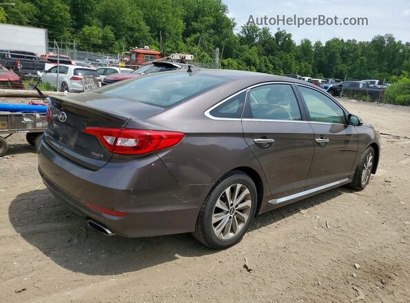 5NPE34AF2GH423375 2016 HYUNDAI SONATA Brown Tył prawy