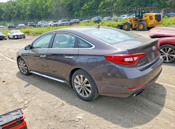 5NPE34AF2GH423375 2016 HYUNDAI SONATA Brown Tył lewy