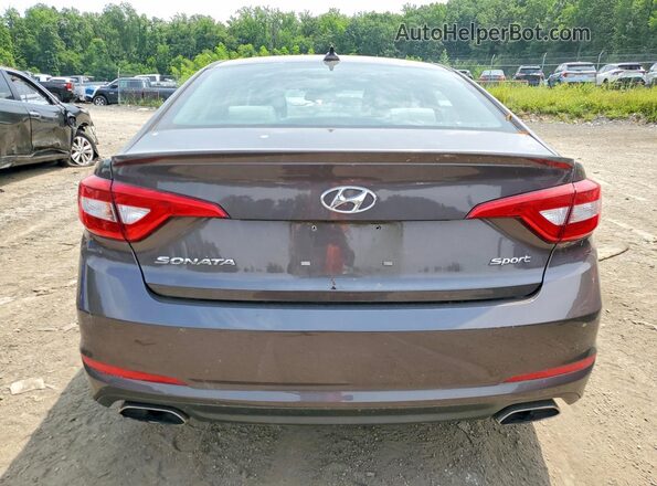 5NPE34AF2GH423375 2016 HYUNDAI SONATA Brown Widok z tyłu