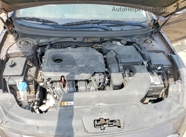 5NPE34AF2GH423375 2016 HYUNDAI SONATA Brown Widok wnętrza z tyłu