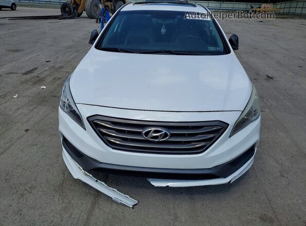 5NPE34AF3HH472862 2017 HYUNDAI SONATA White Widok z przodu