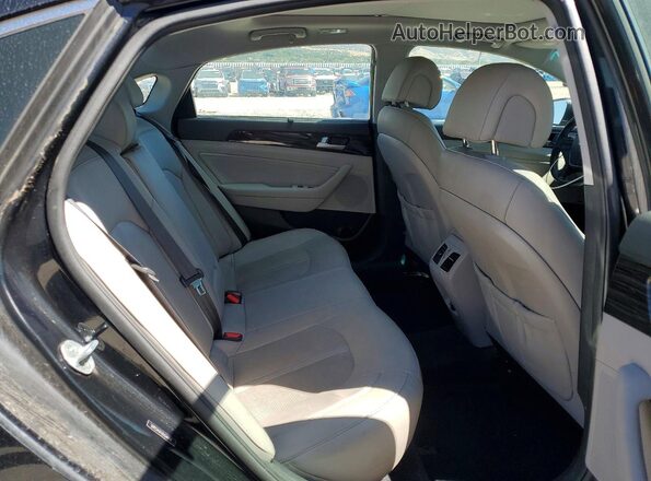 5NPE34AF4GH346119 2016 HYUNDAI SONATA Black Rear seats view