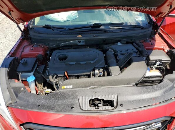 5NPE34AF4HH510065 2017 HYUNDAI SONATA Red Widok wnętrza z tyłu