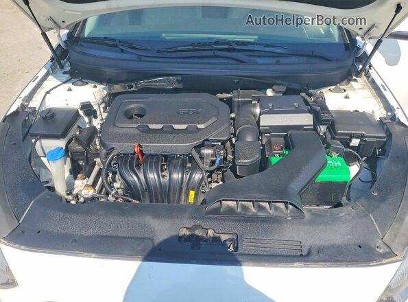 5NPE34AF4JH606784 2018 HYUNDAI SONATA Белый Вид задней части салона