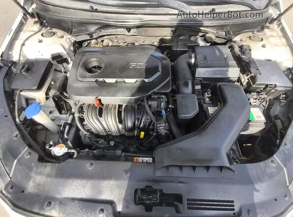 5NPE34AF4JH668198 2018 HYUNDAI SONATA Белый 
