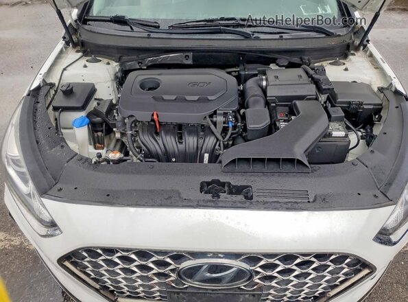 5NPE34AF4KH804038 2019 HYUNDAI SONATA White Սալոնի հետևի տեսք