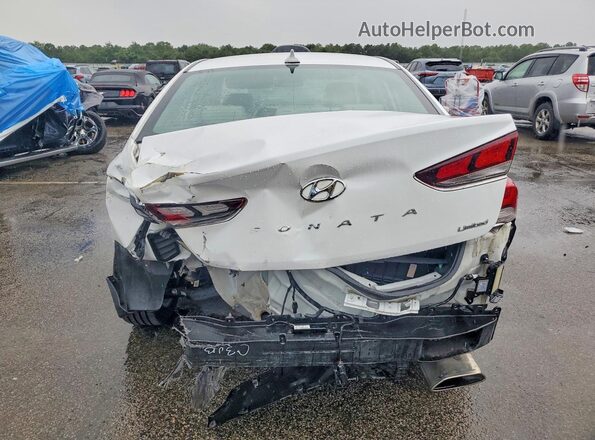 5NPE34AF4KH804038 2019 HYUNDAI SONATA White Հետևի տեսք