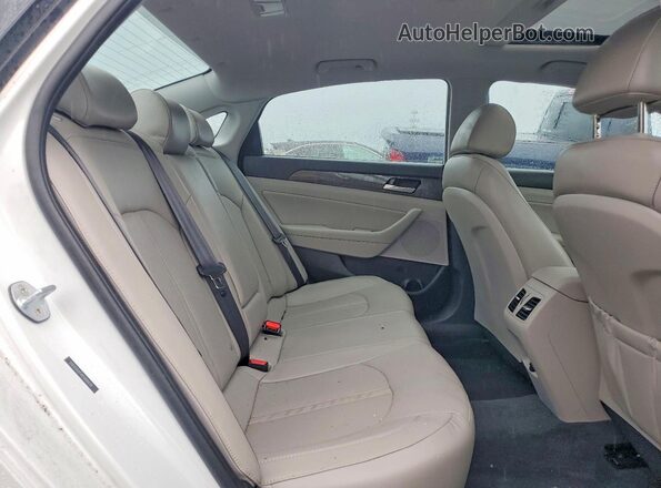 5NPE34AF4KH804038 2019 HYUNDAI SONATA White Հետևի նստատեղերի տեսք