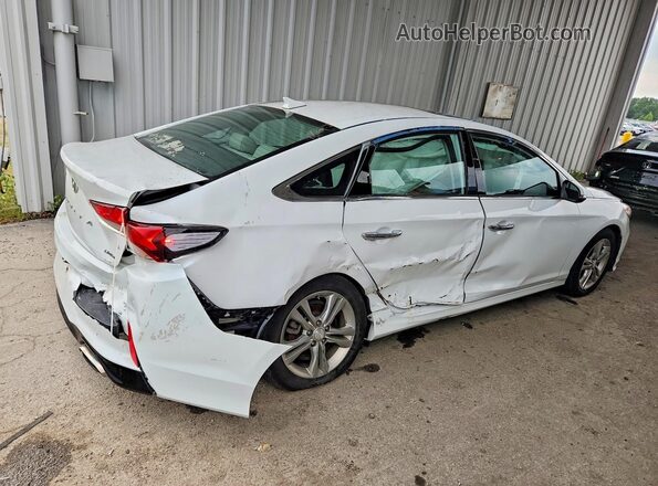 5NPE34AF7KH793018 2019 HYUNDAI SONATA White უკანა მარჯვენა