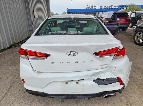 5NPE34AF7KH793018 2019 HYUNDAI SONATA White უკანა ხედი