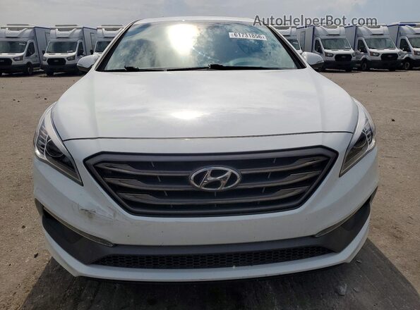 5NPE34AF8HH572312 2017 HYUNDAI SONATA Белый Вид спереди