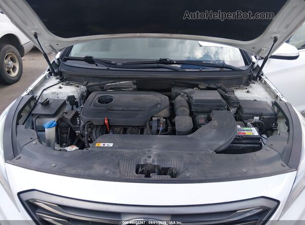 5NPE34AF9HH512913 2017 HYUNDAI SONATA White Հետևի տեսք
