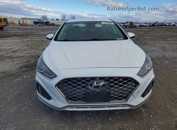 5NPE34AFXKH768212 2019 HYUNDAI SONATA White Widok z przodu