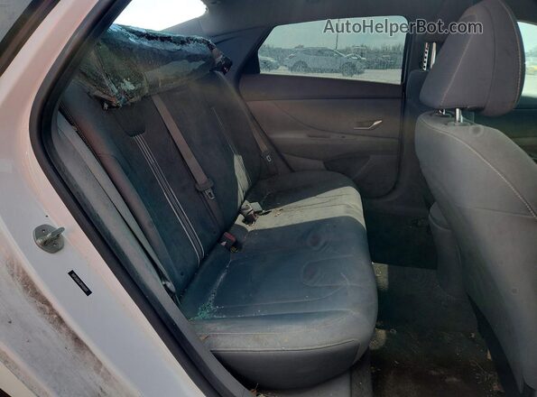 5NPLM4AG0PH104019 2023 HYUNDAI ELANTRA Белый Вид задних сидений