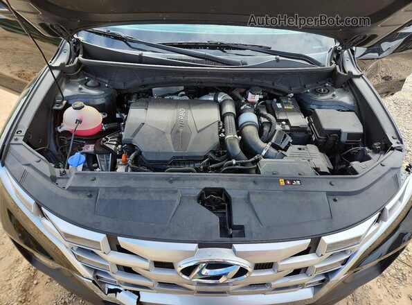 5NTJDDAF6PH074119 2023 HYUNDAI SANTA Black Սալոնի հետևի տեսք