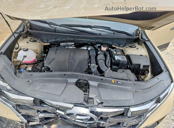 5NTJDDDF5RH106458 2024 HYUNDAI SANTA Желто-коричневый Вид задней части салона