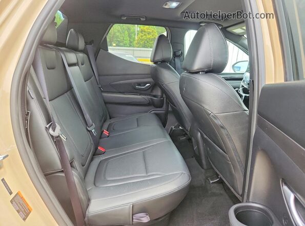 5NTJDDDF5RH106458 2024 HYUNDAI SANTA Желто-коричневый Вид задних сидений