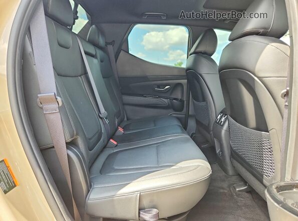 5NTJEDDF0RH105070 2024 HYUNDAI SANTA Tan Vista de los asientos traseros