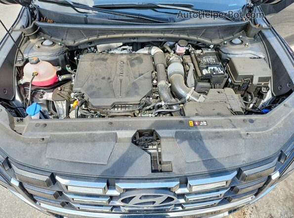 5NTJEDDFXSH128846 2025 HYUNDAI SANTA Black Սալոնի հետևի տեսք