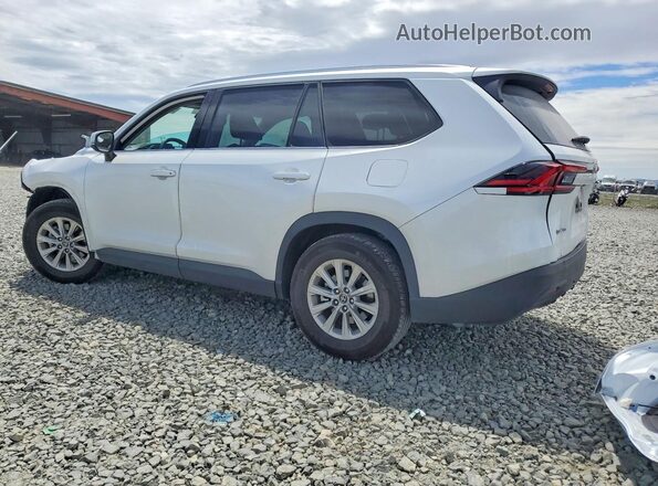 5TDACAB57SS064255 2025 TOYOTA GRAND White Задня ліва чверть