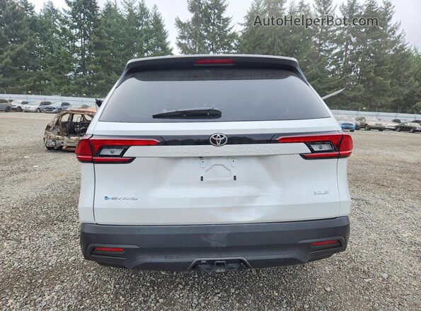 5TDACAB57TS102469 2026 TOYOTA GRAND White Widok z tyłu
