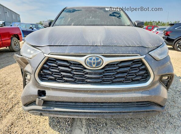 5TDBBRCHXLS011906 2020 TOYOTA HIGHLANDER Gray Widok z przodu