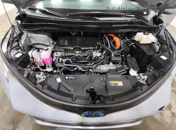5TDCSKFC9SS176307 2025 TOYOTA SIENNA Серый 